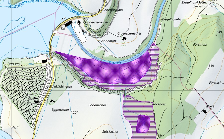Landeskarte swisstopo mit dem Schutzperimeter von Saaneboden (Amphibienlaichgebiet)
