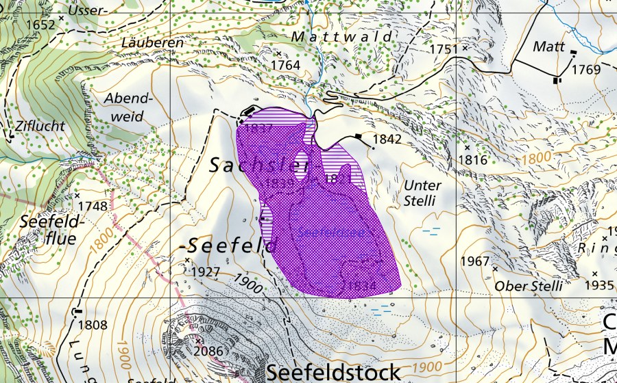 Landeskarte swisstopo mit dem Schutzperimeter von Sachsler Seefeld (Amphibienlaichgebiet)