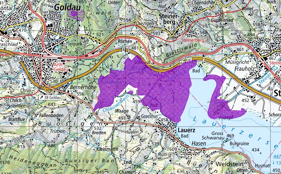 Carta nazionale swisstopo con il perimetro protetto di Sägel, Schutt, Lauerzersee (Sito di riproduzione di anfibi)