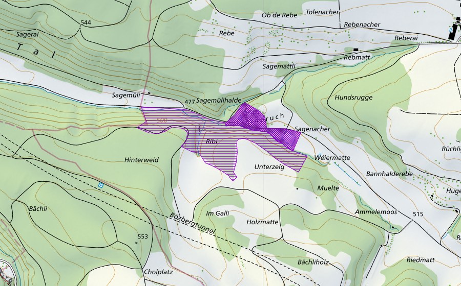 Landeskarte swisstopo mit dem Schutzperimeter von Sagenmülitäli (Amphibienlaichgebiet)