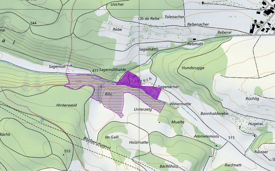 swisstopo national map showing the protected perimeter of Sagenmülitäli (Amphibian spawning site)