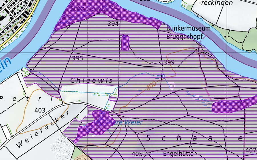 Carta nazionale swisstopo con il perimetro protetto di Schaarenwies/Schaarenwald (Sito di riproduzione di anfibi)