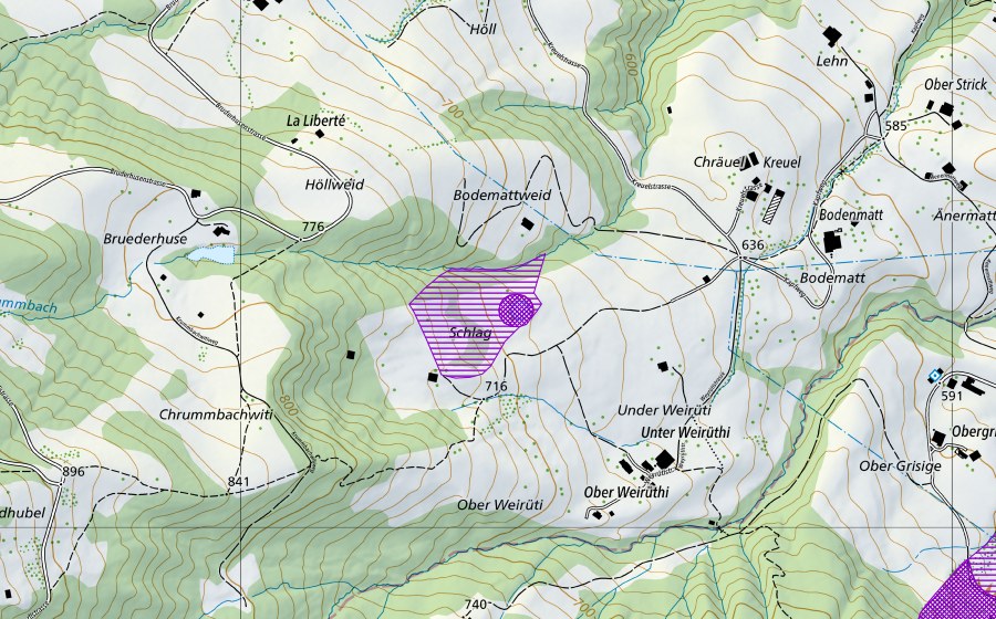 swisstopo national map showing the protected perimeter of Schlagweiher (Amphibian spawning site)