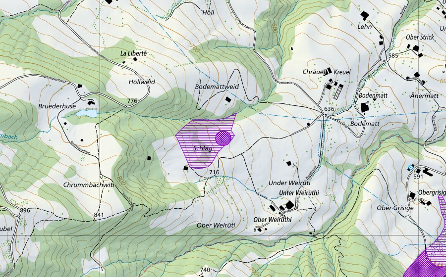 Carte nationale swisstopo avec le périmètre protégé de Schlagweiher (Site de reproduction de batraciens)