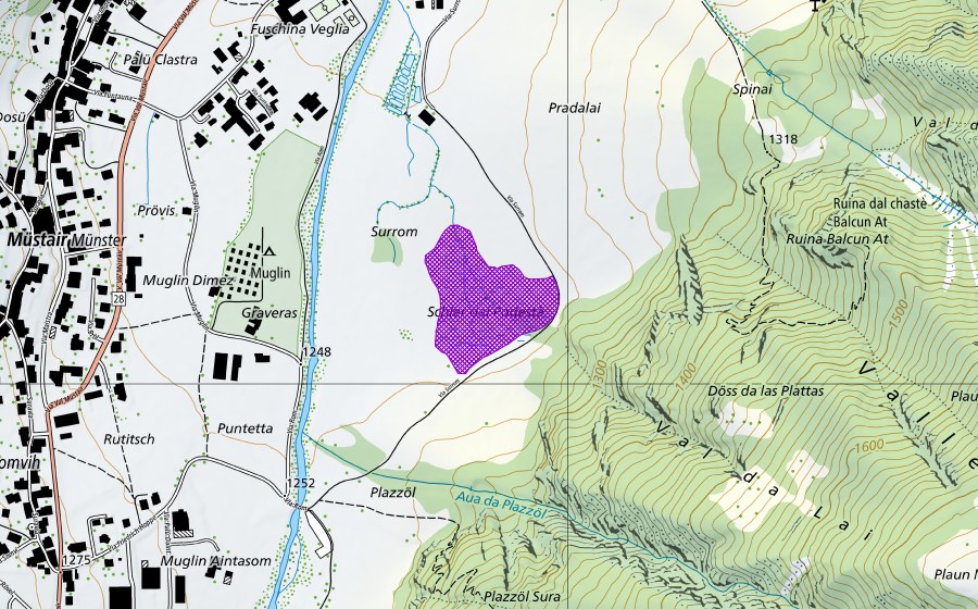 swisstopo national map showing the protected perimeter of Schler dal Podestà (Amphibian spawning site)