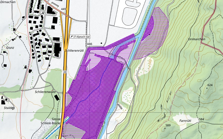 swisstopo national map showing the protected perimeter of Schlierenrüti, Reservat Sarna (Amphibian spawning site)
