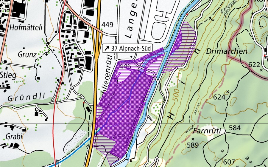 Landeskarte swisstopo mit dem Schutzperimeter von Schlierenrüti, Reservat Sarna (Amphibienlaichgebiet)