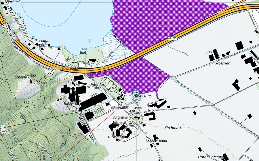 swisstopo national map showing the protected perimeter of Schlossried (Amphibian spawning site)
