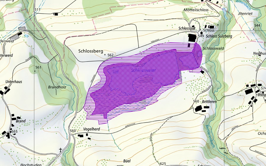 Landeskarte swisstopo mit dem Schutzperimeter von Schlossweiher (Amphibienlaichgebiet)