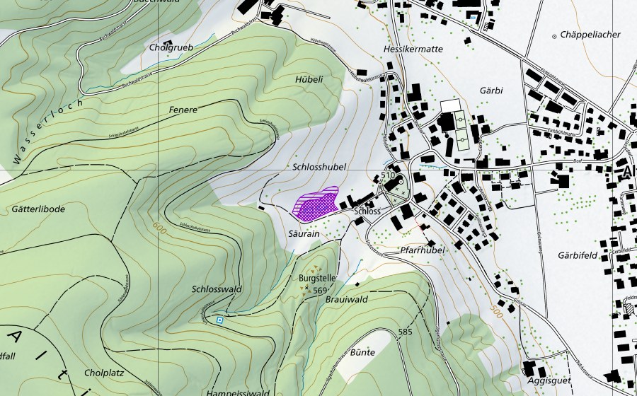 swisstopo national map showing the protected perimeter of Schlossweiher Altishofen (Amphibian spawning site)