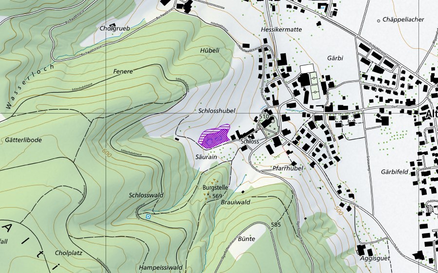 Landeskarte swisstopo mit dem Schutzperimeter von Schlossweiher Altishofen (Amphibienlaichgebiet)
