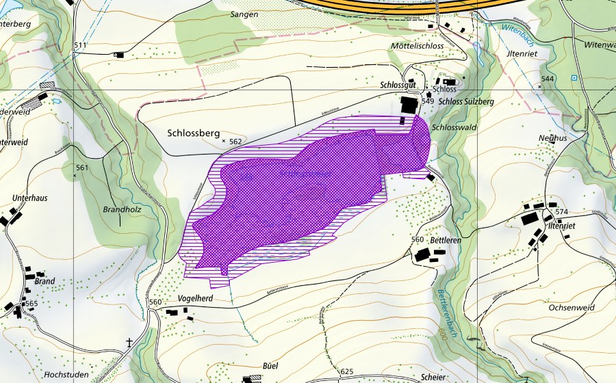 Landeskarte swisstopo mit dem Schutzperimeter von Schlossweiher (Amphibienlaichgebiet)