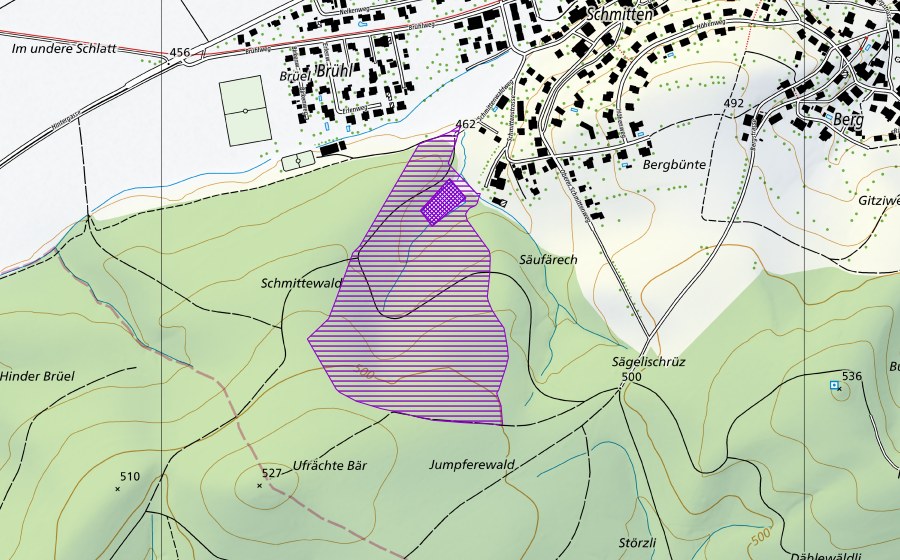 Landeskarte swisstopo mit dem Schutzperimeter von Schmittenweiher (Amphibienlaichgebiet)