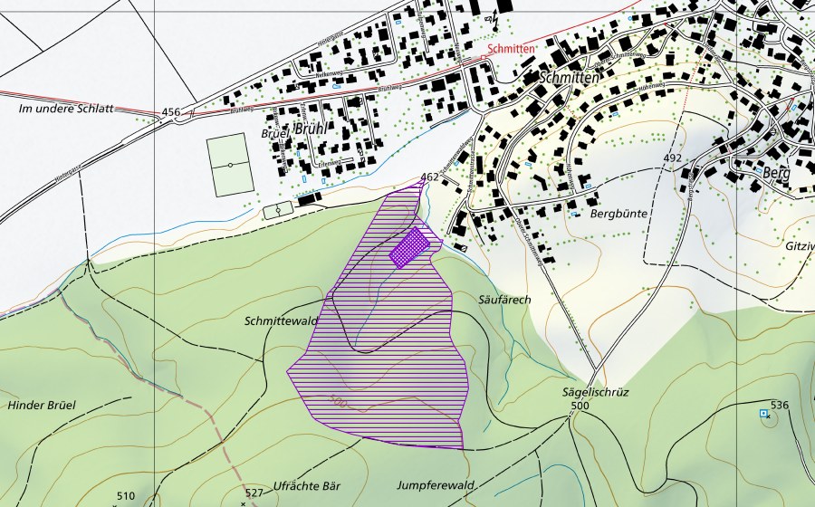 swisstopo national map showing the protected perimeter of Schmittenweiher (Amphibian spawning site)