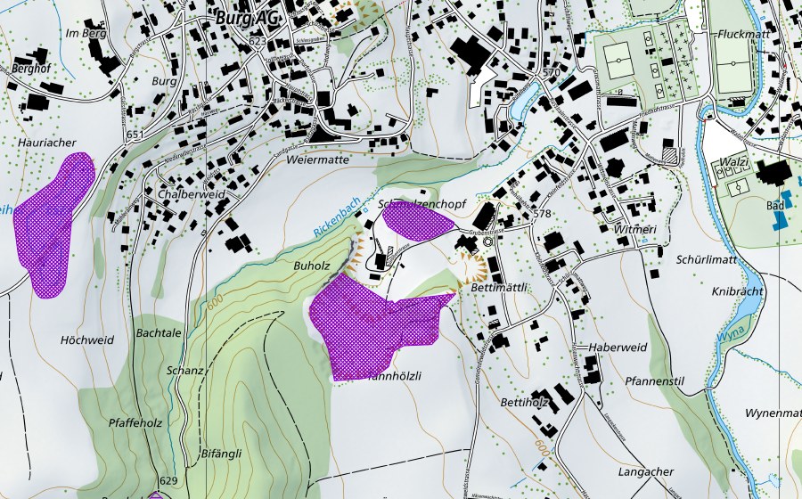 swisstopo national map showing the protected perimeter of Schmulzenchopf (Amphibian spawning site)