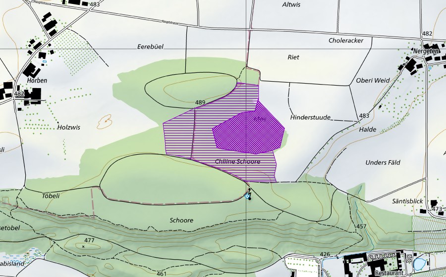 swisstopo national map showing the protected perimeter of Schoren Riet (Amphibian spawning site)