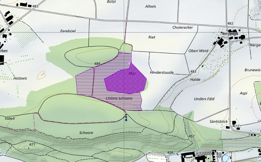 swisstopo national map showing the protected perimeter of Schoren Riet (Amphibian spawning site)