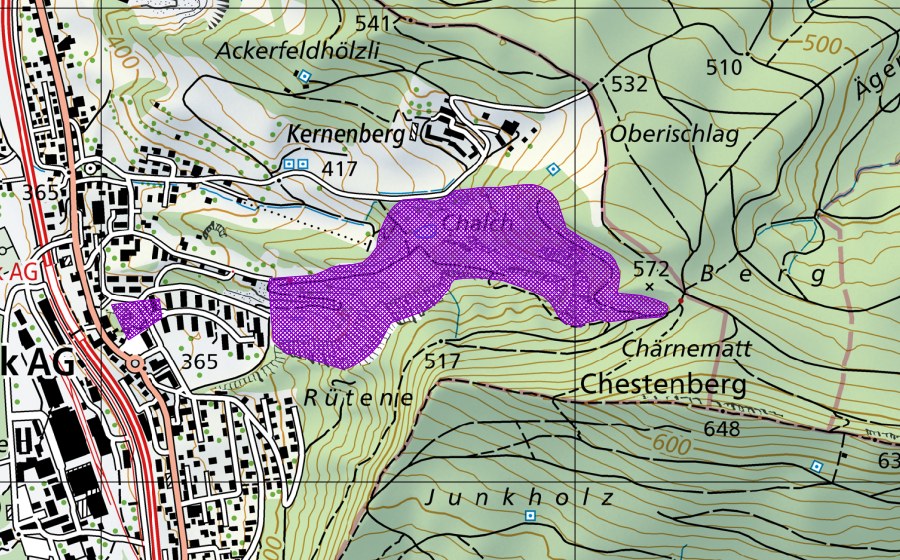 swisstopo national map showing the protected perimeter of Schümel (Amphibian spawning site)