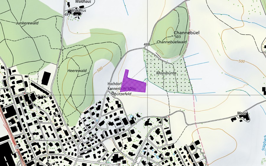 swisstopo national map showing the protected perimeter of Schützenfeld-Moospünten (Amphibian spawning site)