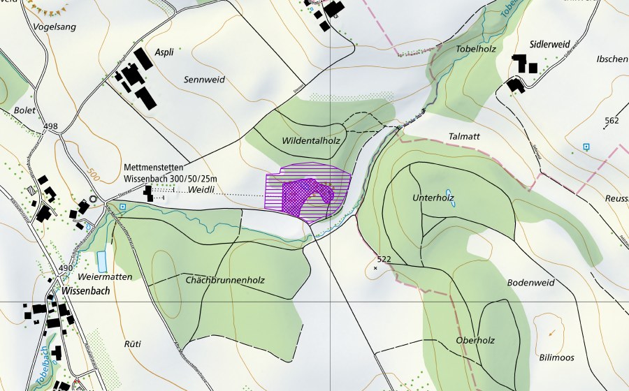 Landeskarte swisstopo mit dem Schutzperimeter von Schützenweiher (Amphibienlaichgebiet)