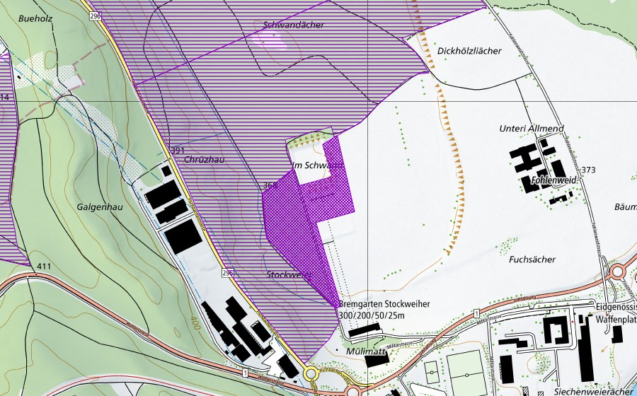 Landeskarte swisstopo mit dem Schutzperimeter von Schwand (Amphibienlaichgebiet)