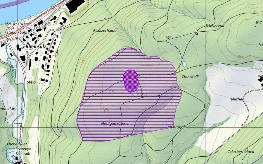 swisstopo national map showing the protected perimeter of Schwarzrain (Amphibian spawning site)
