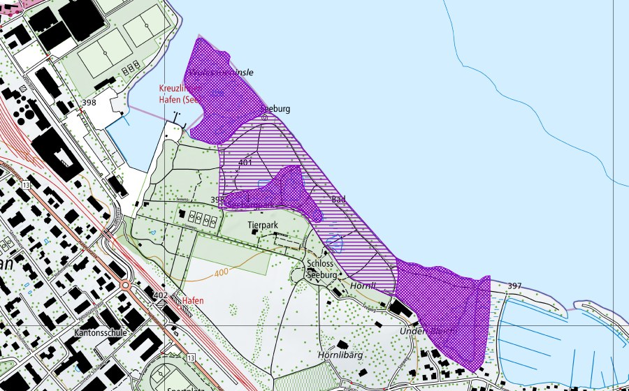 swisstopo national map showing the protected perimeter of Seeburg (Amphibian spawning site)