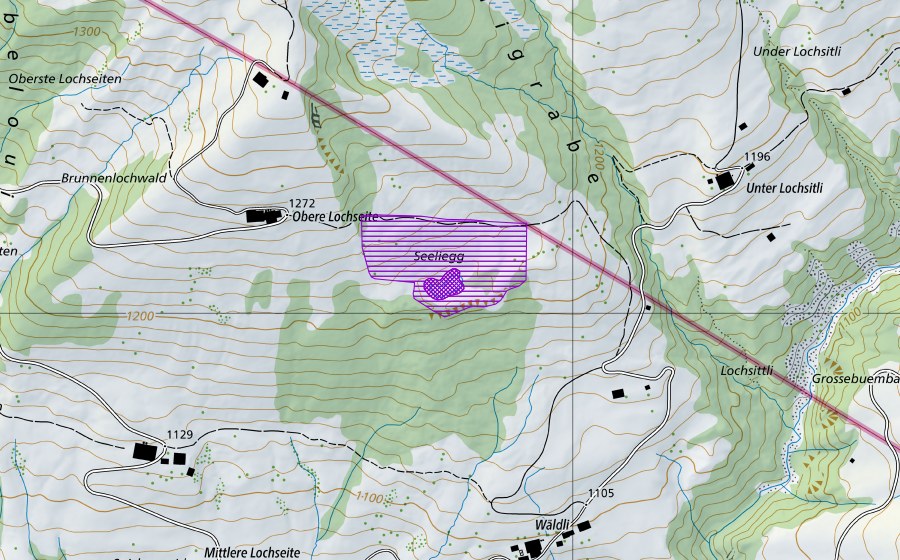 swisstopo national map showing the protected perimeter of Seeli-Egg, Lochsiten (Amphibian spawning site)