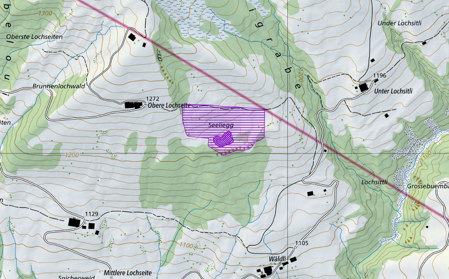 Landeskarte swisstopo mit dem Schutzperimeter von Seeli-Egg, Lochsiten (Amphibienlaichgebiet)