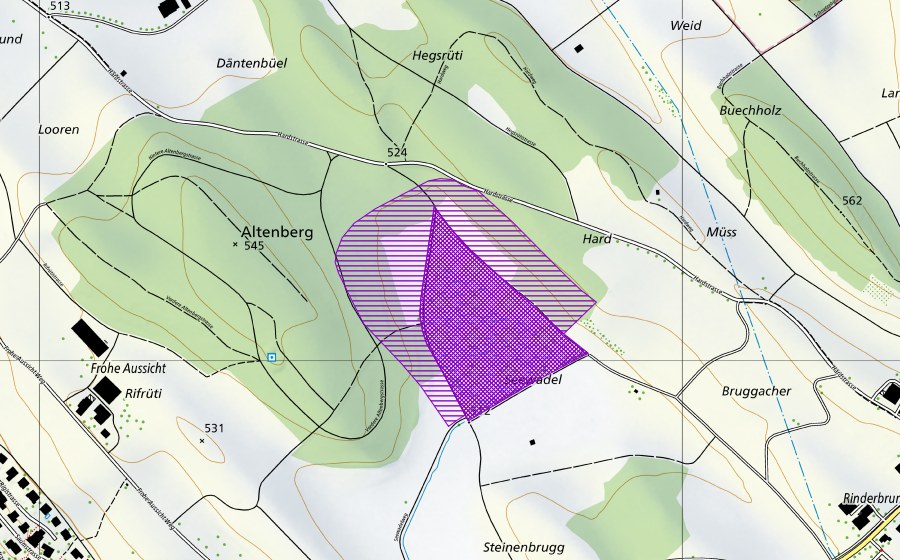 swisstopo national map showing the protected perimeter of Seewadel (Amphibian spawning site)