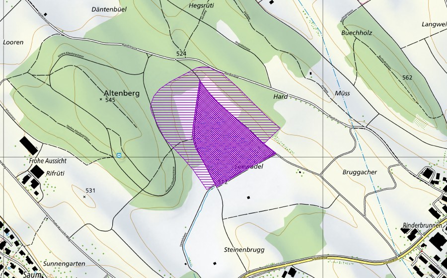 Landeskarte swisstopo mit dem Schutzperimeter von Seewadel (Amphibienlaichgebiet)