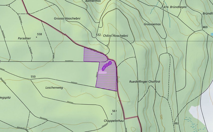 Carte nationale swisstopo avec le périmètre protégé de Seewadelgrab (Site de reproduction de batraciens)