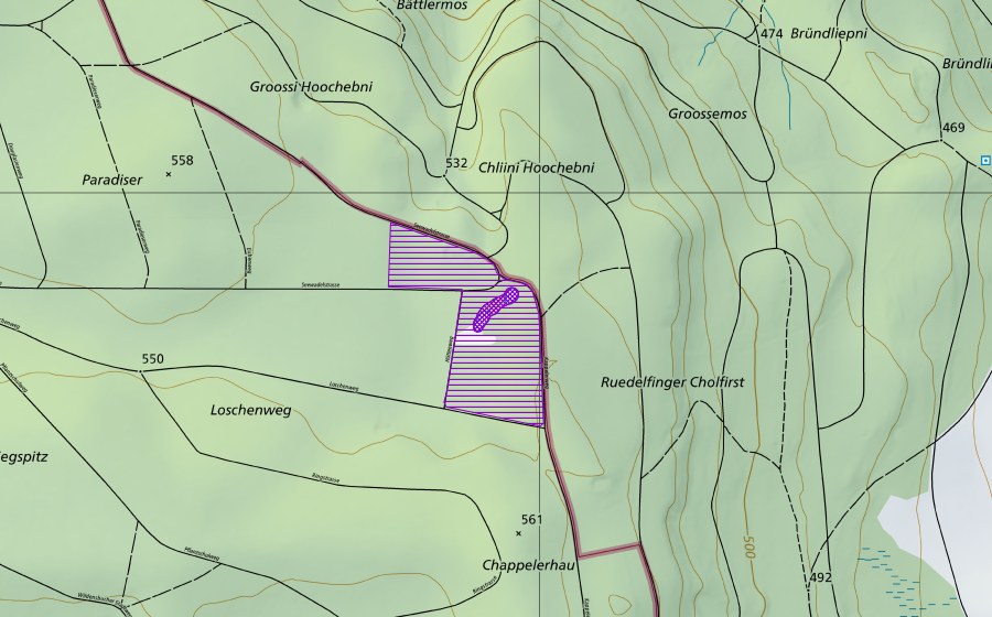 Landeskarte swisstopo mit dem Schutzperimeter von Seewadelgrab (Amphibienlaichgebiet)
