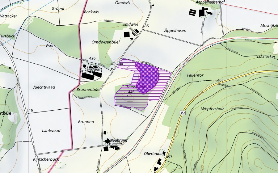 Landeskarte swisstopo mit dem Schutzperimeter von Seewädeli (Amphibienlaichgebiet)