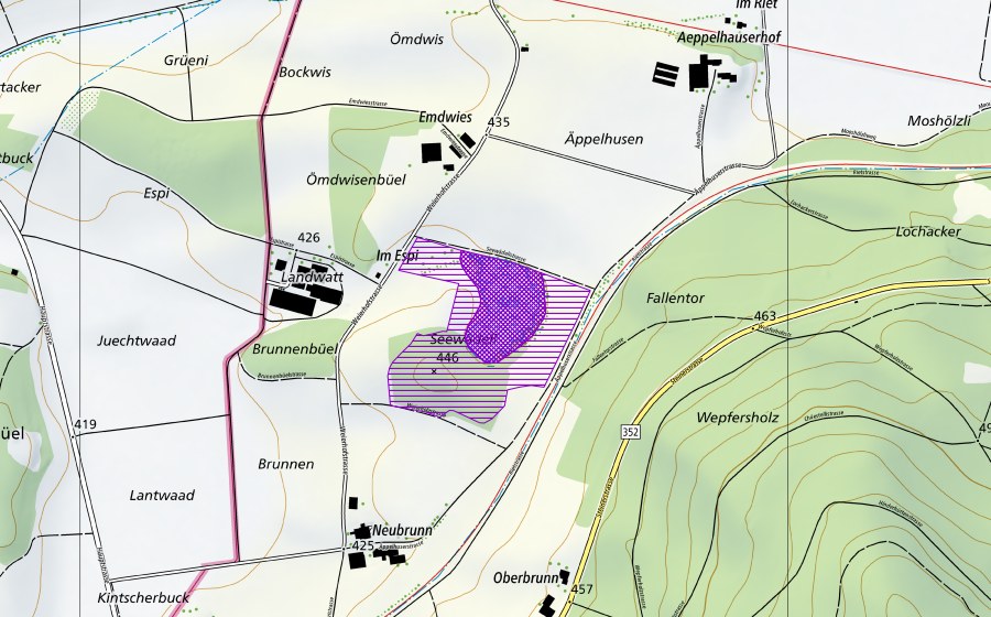 Landeskarte swisstopo mit dem Schutzperimeter von Seewädeli (Amphibienlaichgebiet)