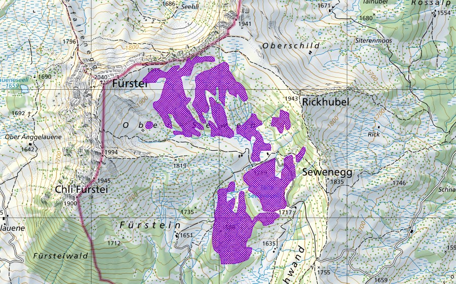 swisstopo national map showing the protected perimeter of Sewenseeli (Amphibian spawning site)