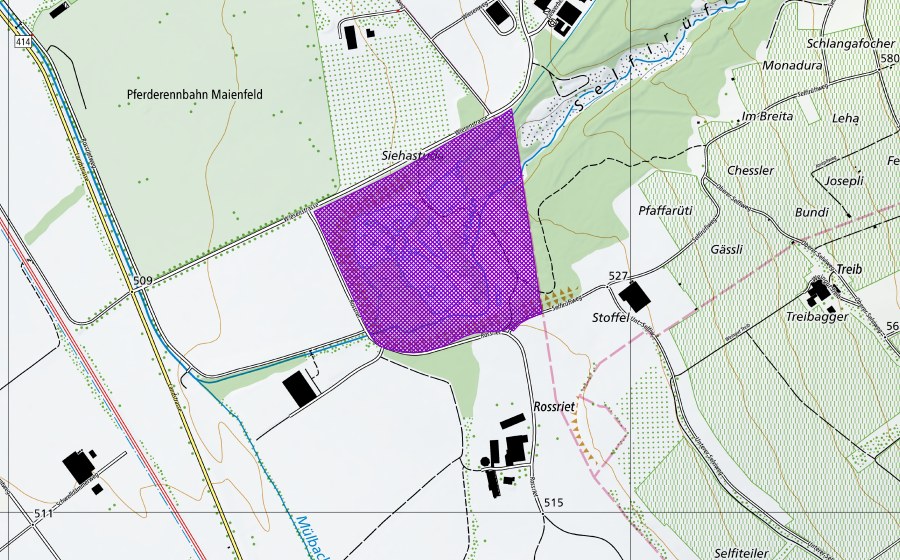 Landeskarte swisstopo mit dem Schutzperimeter von Siechenstuden (Amphibienlaichgebiet)