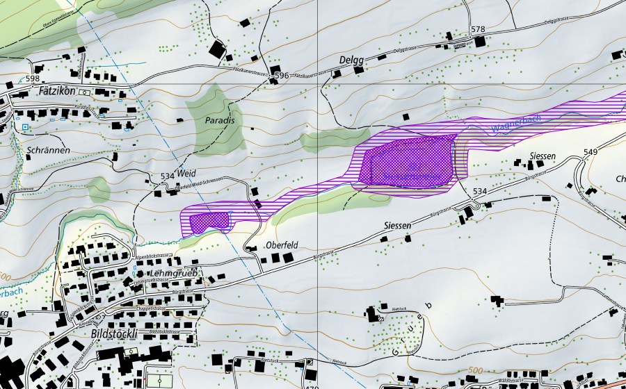 Landeskarte swisstopo mit dem Schutzperimeter von Siessenweiher (Amphibienlaichgebiet)