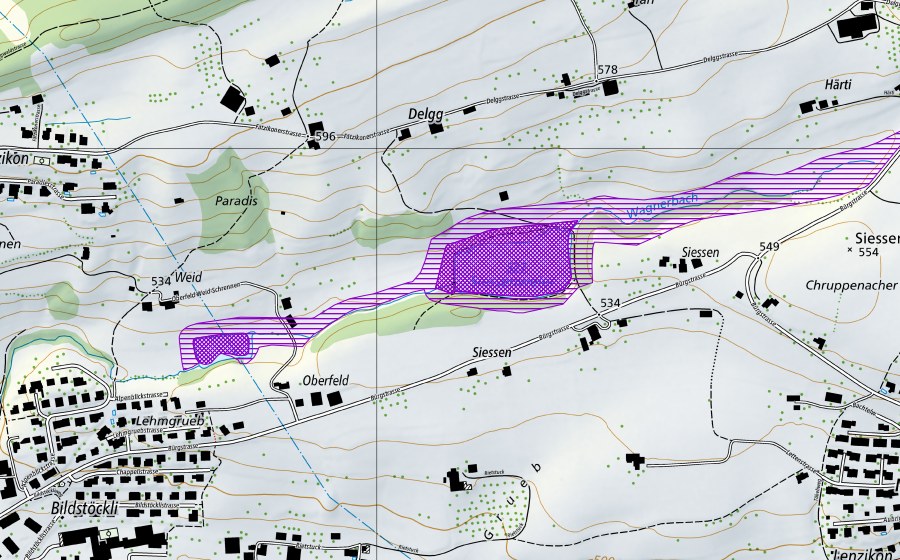 swisstopo national map showing the protected perimeter of Siessenweiher (Amphibian spawning site)