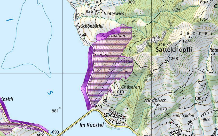 Carte nationale swisstopo avec le périmètre protégé de Sihlsee S Schönbächli (Site de reproduction de batraciens)