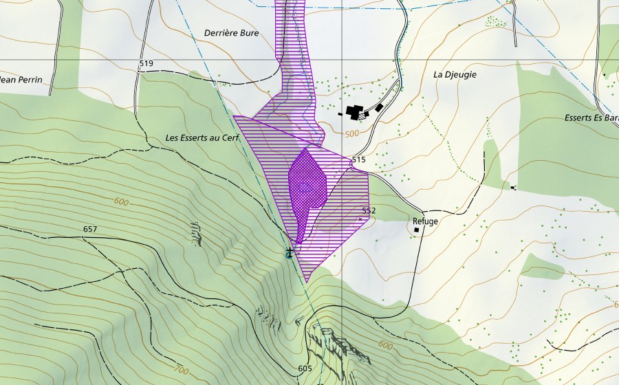 swisstopo national map showing the protected perimeter of Sous Bâme (Amphibian spawning site)