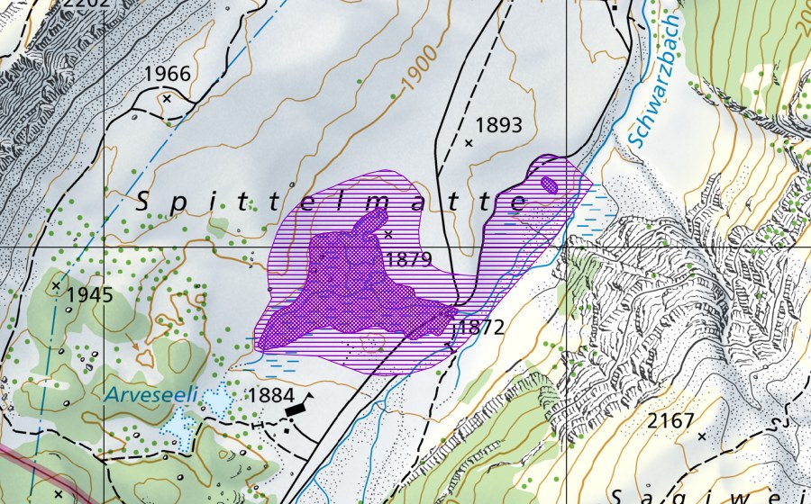 Carte nationale swisstopo avec le périmètre protégé de Spittelmatte (Site de reproduction de batraciens)