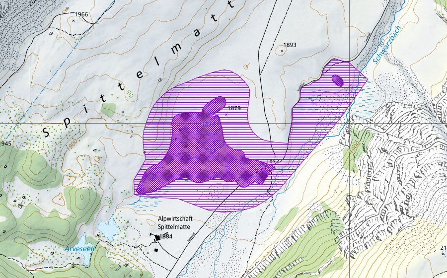 Landeskarte swisstopo mit dem Schutzperimeter von Spittelmatte (Amphibienlaichgebiet)