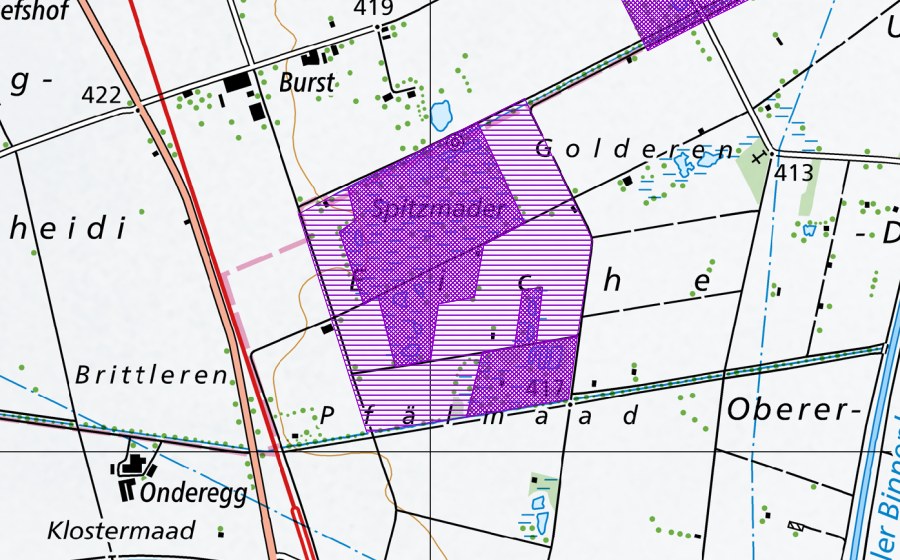 swisstopo national map showing the protected perimeter of Spitzmäder (Amphibian spawning site)