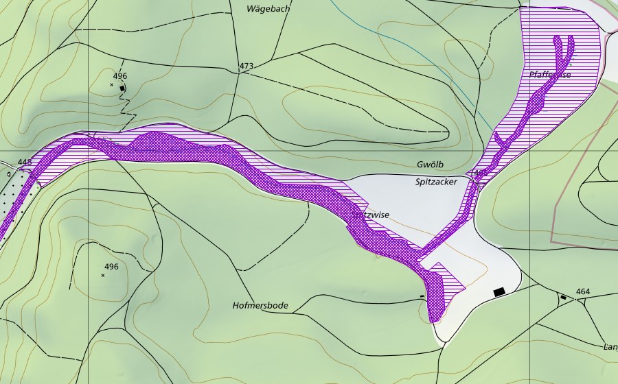 Carte nationale swisstopo avec le périmètre protégé de Spitzwisen (Site de reproduction de batraciens)