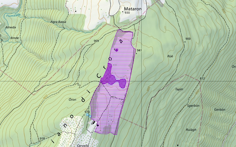 Landeskarte swisstopo mit dem Schutzperimeter von Stagno Agra (Amphibienlaichgebiet)
