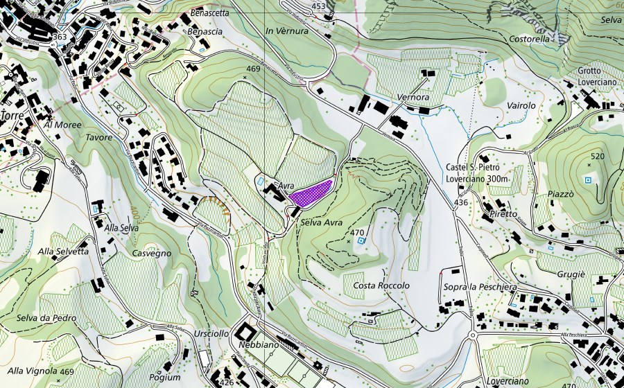 swisstopo national map showing the protected perimeter of Stagno Avra (Amphibian spawning site)