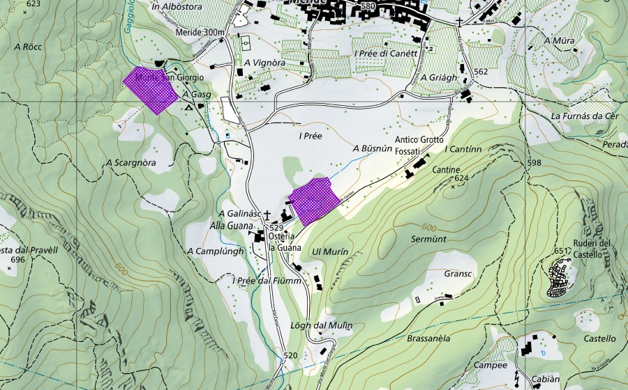 swisstopo national map showing the protected perimeter of Stagno Guana (Amphibian spawning site)