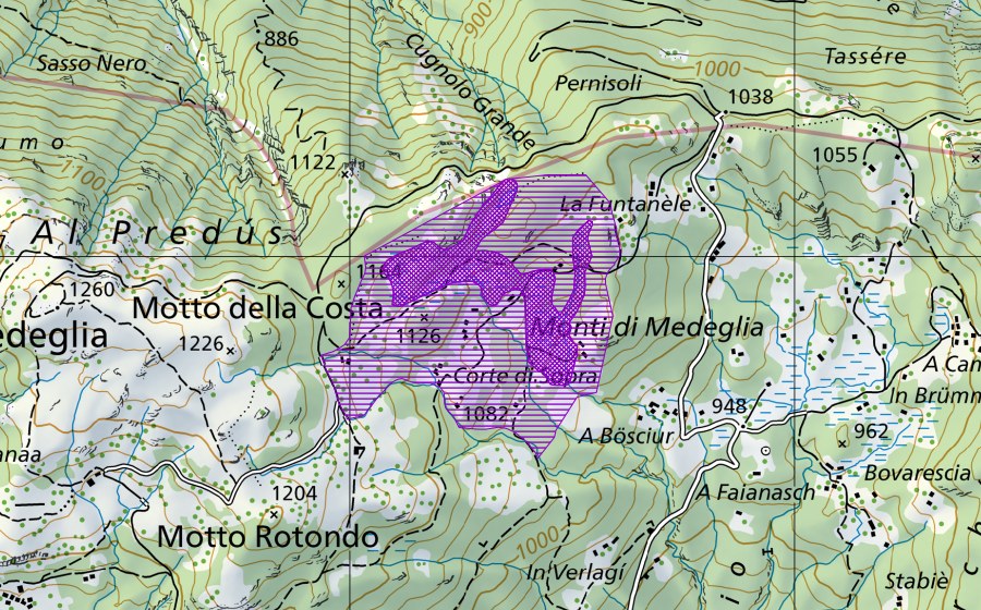 swisstopo national map showing the protected perimeter of Stagno Motto della Costa (Amphibian spawning site)