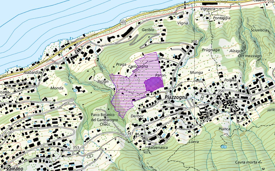 Landeskarte swisstopo mit dem Schutzperimeter von Stagno Paron (Amphibienlaichgebiet)
